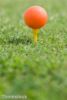 Colourful array of ladies' golf shirts at LPGA Championship