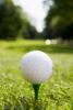 Foundation to teach golf fashion stars of the future?