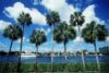 Golf apparel goes on show at Florida Festival