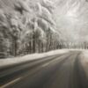 Golf apparel required for 'winter golf in Harrisonberg'