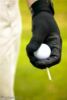 Golf clothing to be worn at upcoming celebrity event