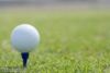 Golf gifts 'could include accessories'