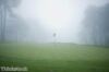 Golf news: Irish Open to be staged at Royal Portrush
