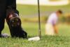 Interesting golf apparel on show at tournament