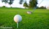 Newcastle beauties to sport golf apparel?