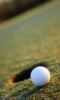 Youngster celebrates hole-in-one double in blue golf clothing 