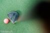 Youngster scores hole-in-one in junior golf clothing