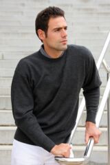 Mens Merino Wool Crew Neck Tay Sweater In 8 Colours