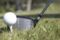 Golf fashion might soon be big in India.