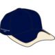 Navy/Sand
