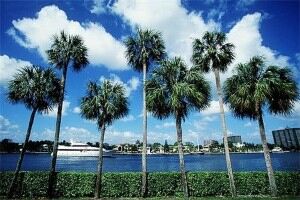 Golf apparel goes on show at Florida Festival