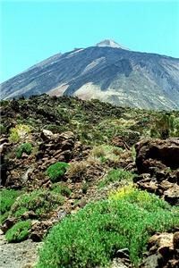 Loincloths and golf clothing may appear side by side in Tenerife