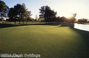 Golf clothing will be worn at a new Durham course.