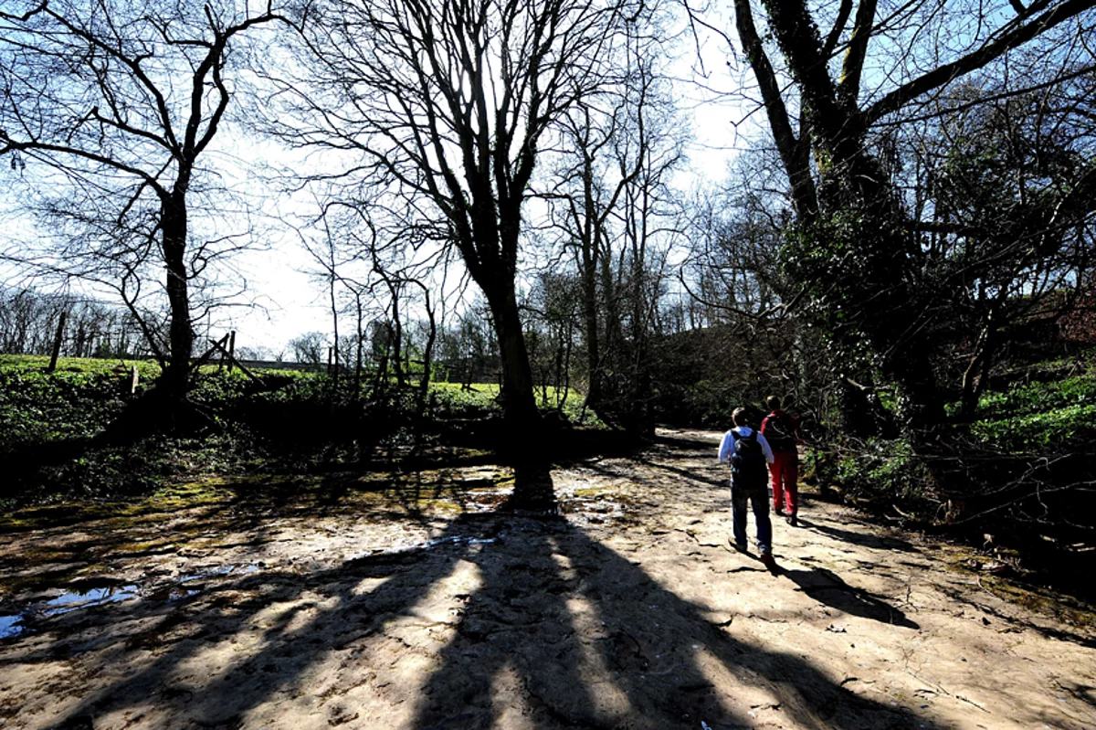 Best golf courses to take a walk on
