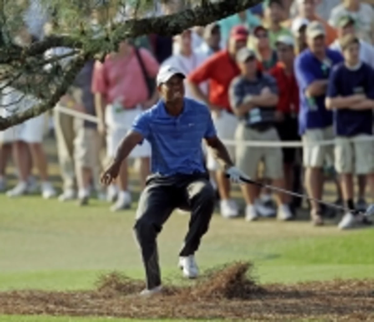 Famous golfing tree fallen in storm