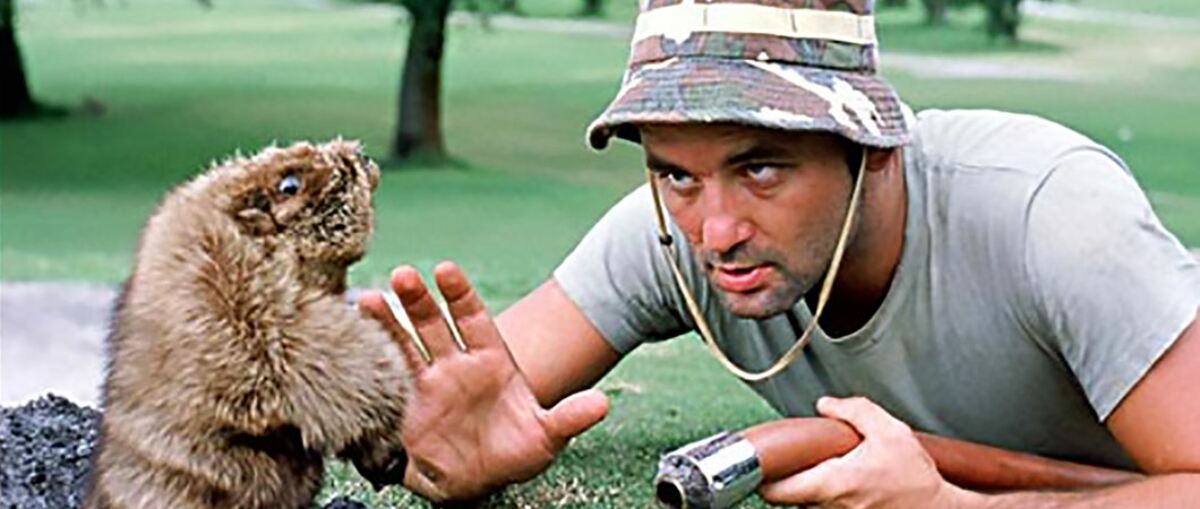 The best golf movies ever made