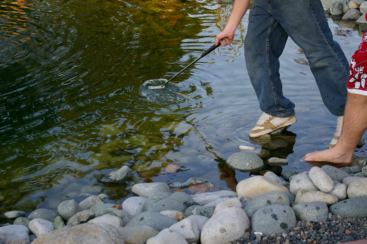 Guide to the new rule changes