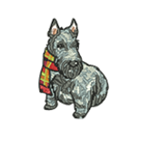 Scottish Terrier