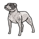 Staffordshire Dog
