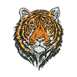 Tiger Head