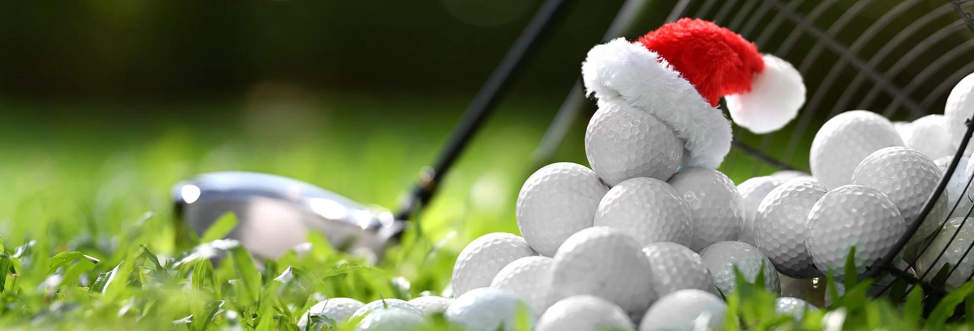 Top Golf Courses Open on Christmas Day 2025