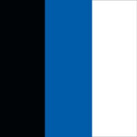 Black/Electric Blue/White
