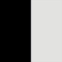 Black/Silver