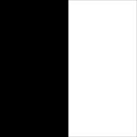 Black/White