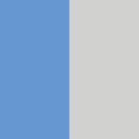 Light Blue/Silver