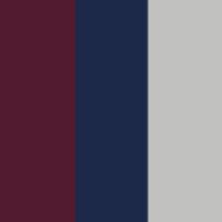 Mulberry/Navy/Silver