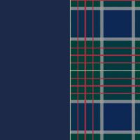 Navy/Tartan