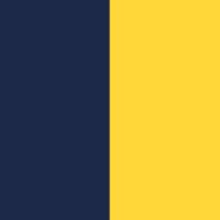 Navy/Gold Trophy Print