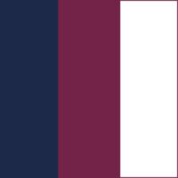 Navy/Pink Berry/White