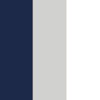 Navy/Silver/White