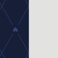 Navy Diamond Print/Silver