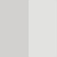 Stardust/Silver