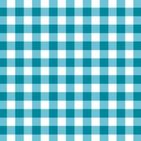 White/Lagoon Gingham