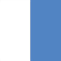 White/Light Blue