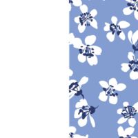 White/Light BlueFlowers
