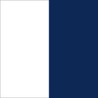 White/Navy