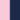Candy/Navy Animal Candy/Navy Animal