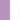 Lilac/White