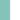 Mint/White Mint/White