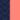 Navy/Coral Shell Print Navy/Coral Shell Print