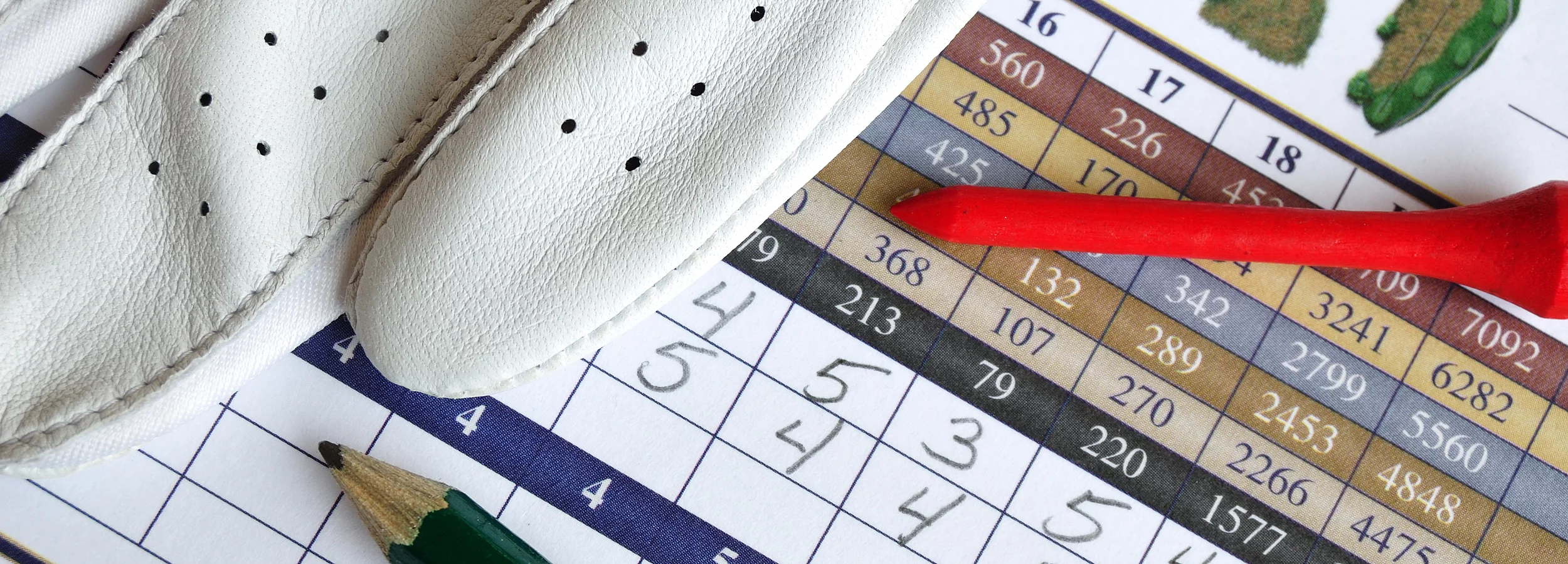 Handicap Scoring: Is Submitting Every Round Worth It?
