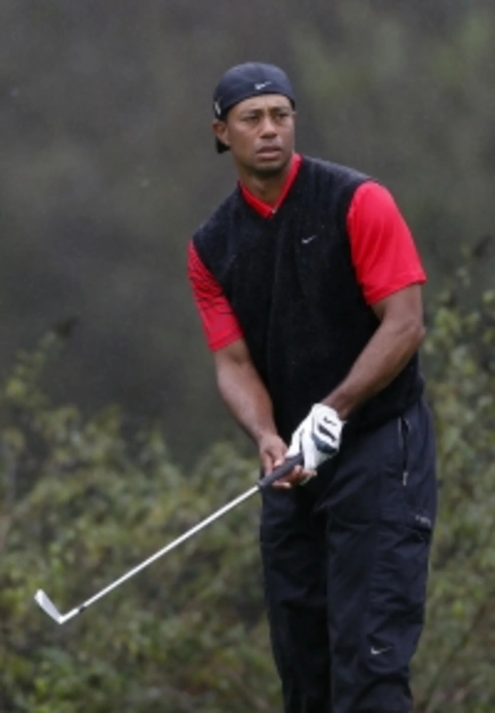 Tiger Woods is world number 1
