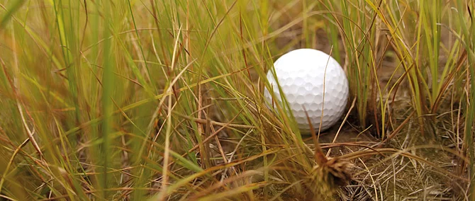 Up Your Golf Game: Get Expert Tips from Glenmuir's Golf Journal