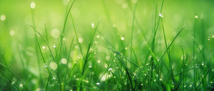 Can you really play golf in the rain?