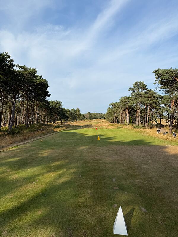 Formby Golf Club: pines, revetted sand and a hippo with a steel tooth