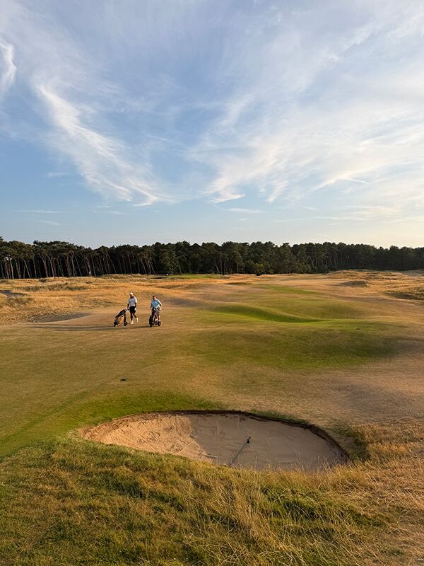 Formby Golf Club: pines, revetted sand and a hippo with a steel tooth